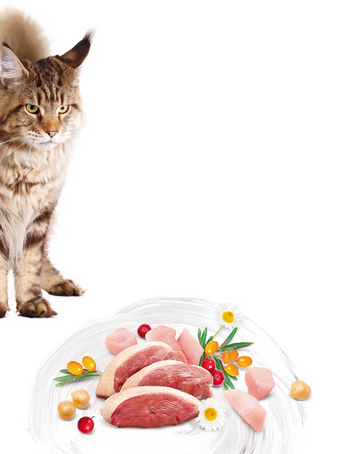 Brit_Care_Cat_Grain_FreeLarge_Cats_Power_Vitality